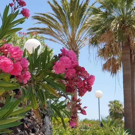 Cosy Well Located Tenerife Sur Golf Apartment *