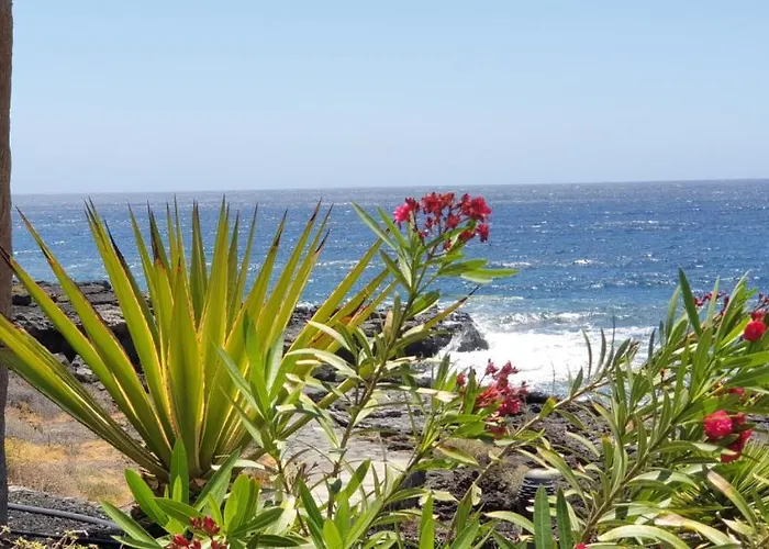 Lejlighed Cosy Well Located Tenerife Sur Golf