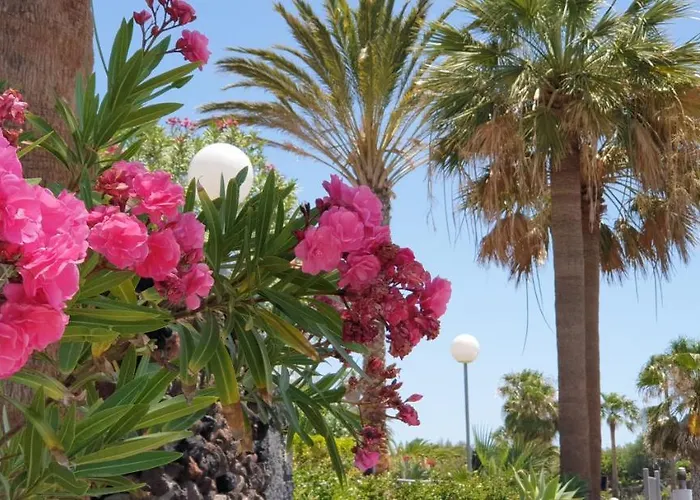 Cosy Well Located Tenerife Sur Golf شقة *