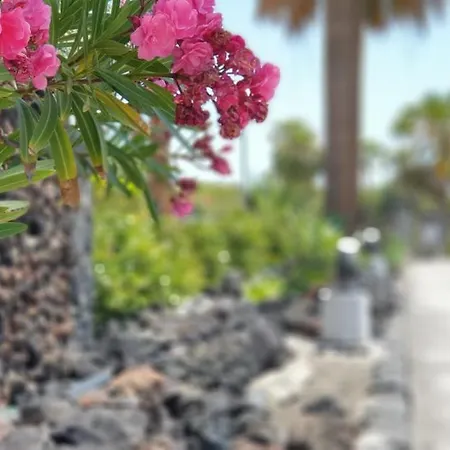 Cosy Well Located Tenerife Sur Golf * San Miguel de Abona