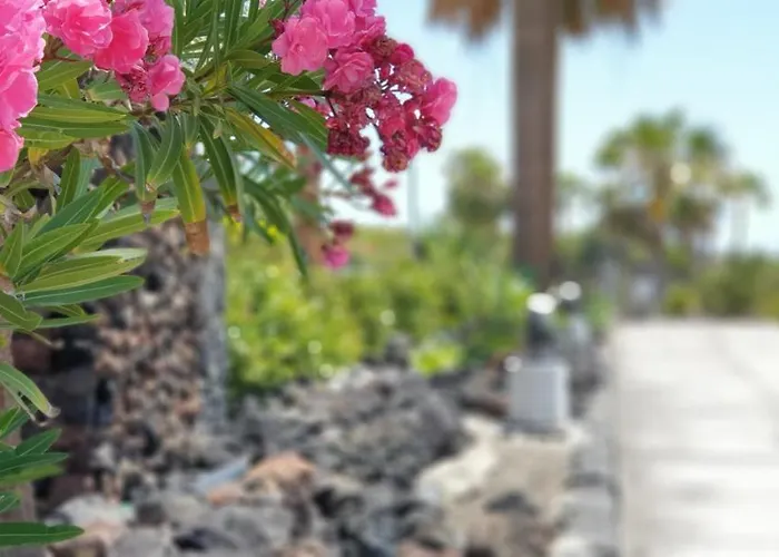 Cosy Well Located Tenerife Sur Golf * Сан Мигель